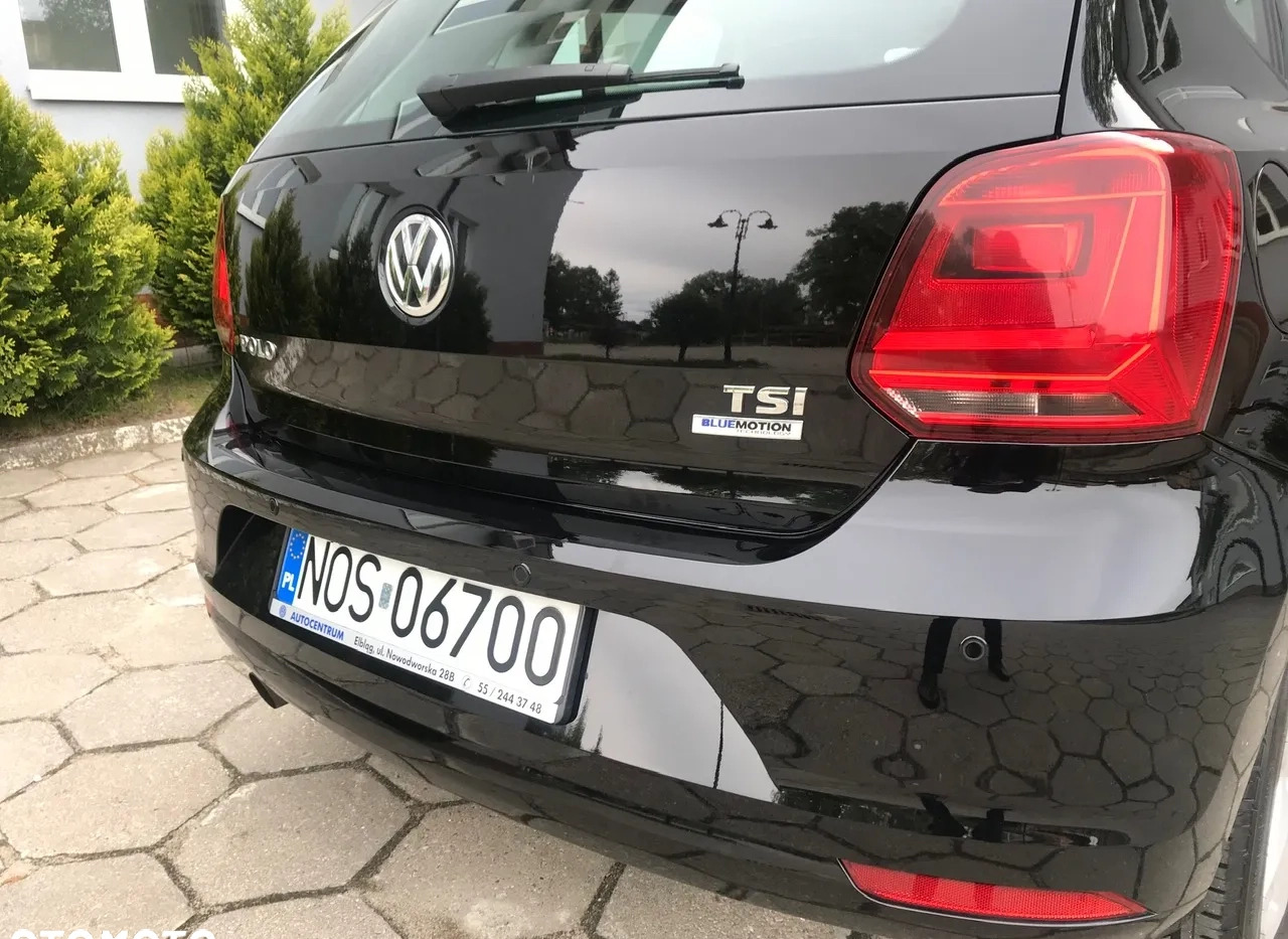 Volkswagen Polo cena 46900 przebieg: 25937, rok produkcji 2015 z Trzebnica małe 254